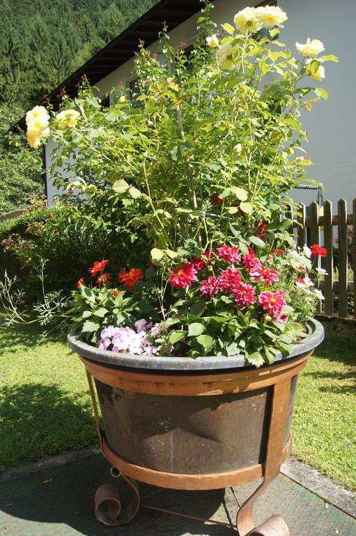 Haus Josef Bed & Breakfast Mayrhofen Dış mekan fotoğraf